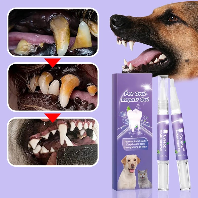 🔥This Week's Special Offer 49% OFF - Pet oral repair gel