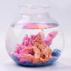 Magic Color Sand