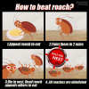 🔥Last Day Promotion 50% OFF🔥Quickatch™ Roach Ace Bait Station