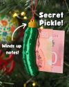 🔥Christmas Extravaganza! 49% OFF🔥🥒Secret Pickle