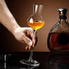 The Tulip Whiskey Glass