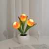 ✨Letzter Tag 49 % Rabatt🔥Tulpen-LED-Nachtlicht