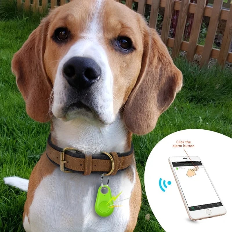 ✨Last Day Sale - 50% OFF🐶Bluetooth and GPS Pet Wireless Tracker