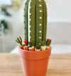 ⏰LAST DAY SALE 50% OFF🔥Cacti Chess