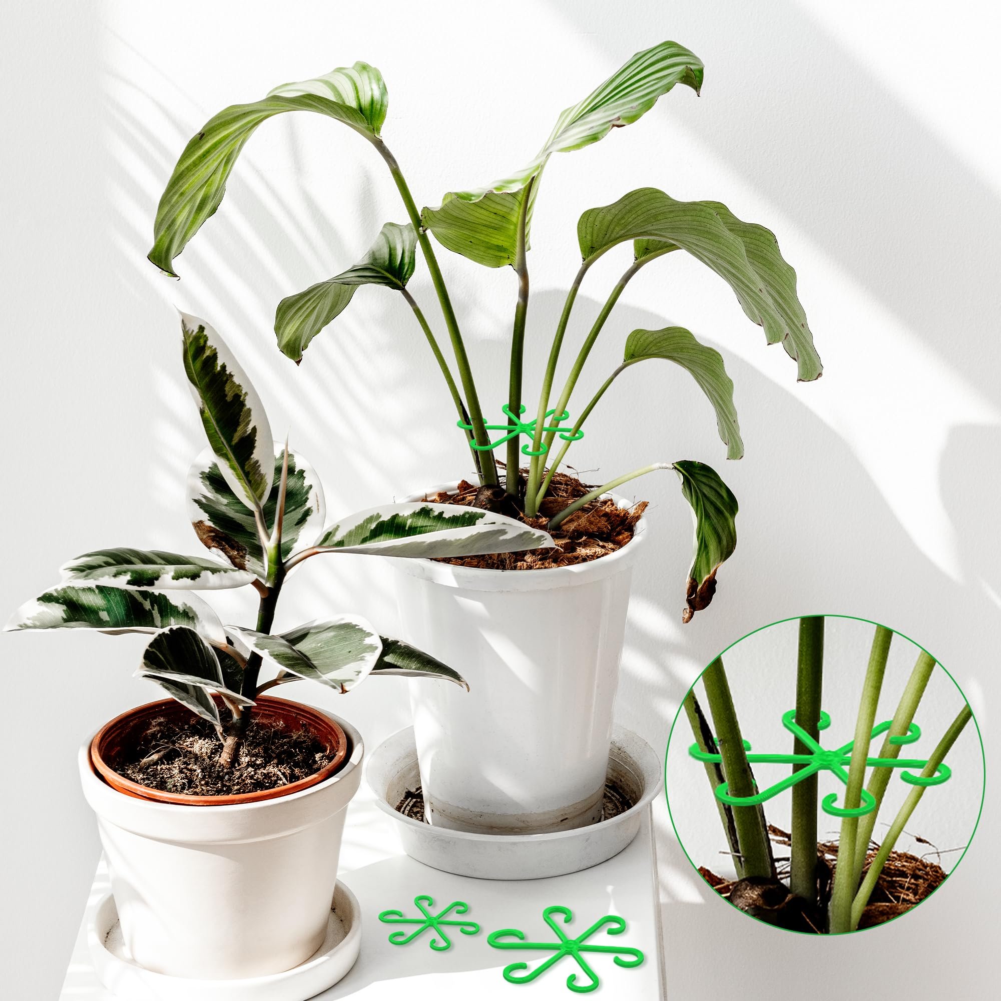 Last Day Promotion 70% OFF - 🌿Plant Stem Support Set