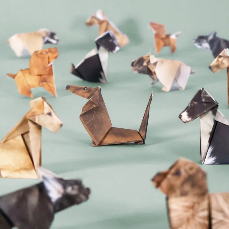 🔥Last Day Promotion 50% OFF🔥DIY Paper Cats