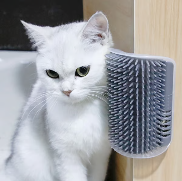(🌲Early Christmas Sale- 49% OFF) Corner Massage Cat Brush - BUY A Set GET EXTRA 30% OFF & Free Shipping