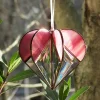 💗 Stained Heart-shaped Suncatcher (Buy 2 Free Shipping)