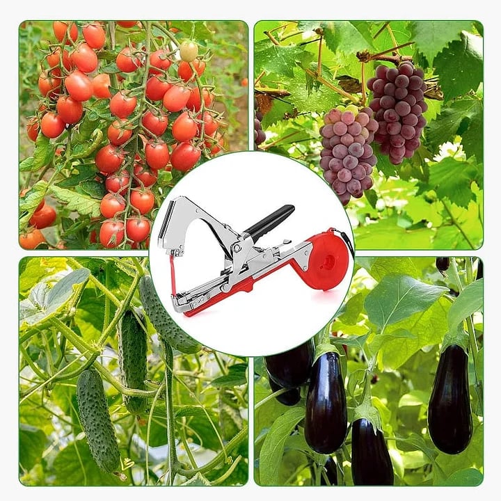 🌹Last Day 50% OFF -🍅Plant Tying Machine🌶️