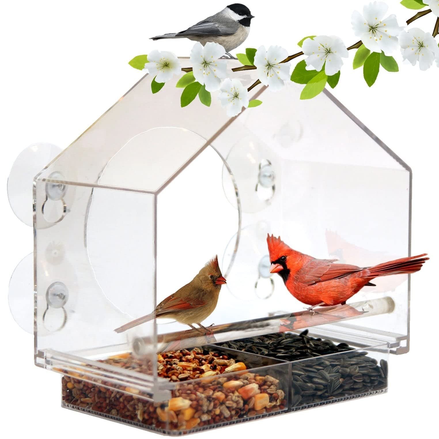🔥🔥Limited Time Sale 75% OFF-Window Bird Feeder for Outside