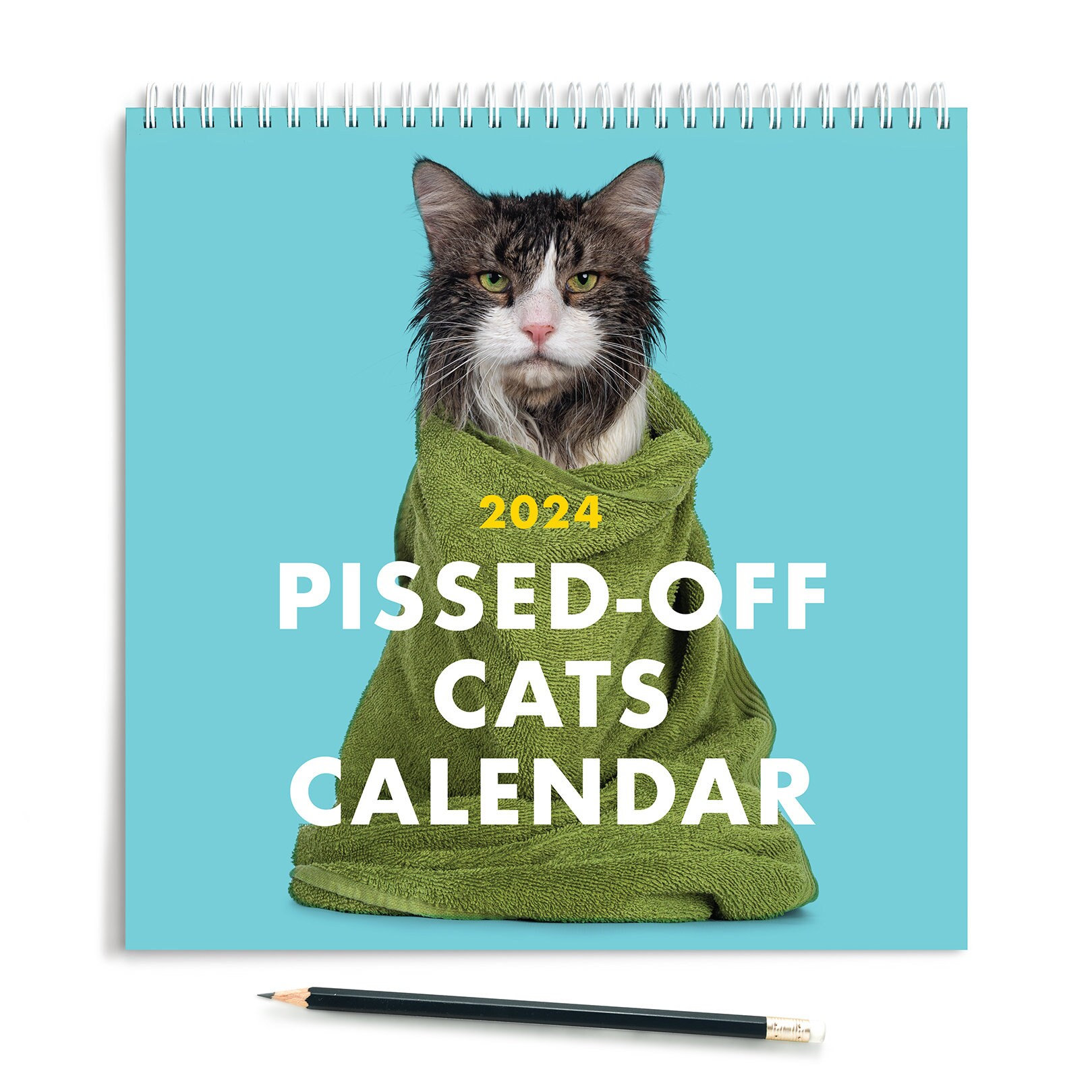 🎁Christmas Sale 50% OFF -  🐱2024 Pissed-Off Cats Calendar - Ferociously Funny