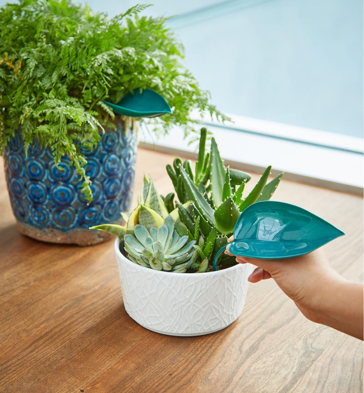 🔥(Last Day Promotion - 50% OFF) Watering Leaf For Plants