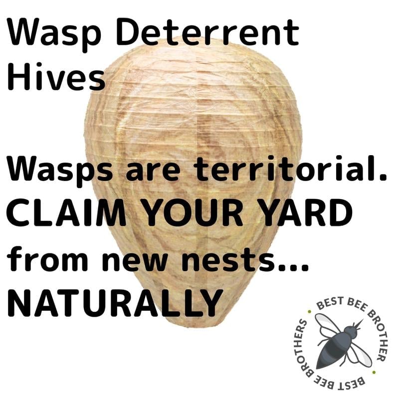 🎁TikTok Last Day Sale - 70% OFF🎉Best Bee Brothers Natural Wasp Deterrent Hives - Protect Your Yard from territorial wasps