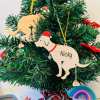 🐶Pooping Pooches | Funny Gifts