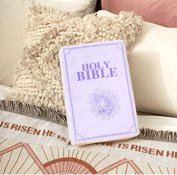 🔥Halloween sale, don't miss it🎃 Super Soft & Plushy Bible Pillow(Free shipping on 2 items!)