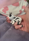 🐄🔥Flamin' Moo - Cow Lighter with a Kick