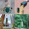 (🔥Last Day Promotion 49% OFF🔥)Squirrel-Proof Bird Feeder(Buy 2 Get Extra 10% OFF Now)