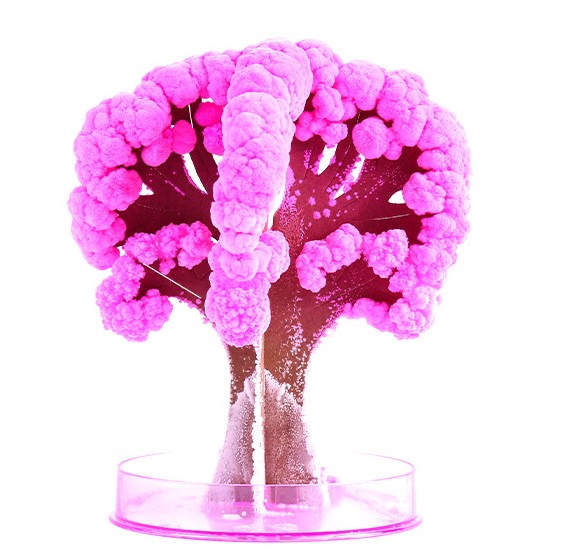🎄Early Christmas Sale - 49% OFF🎁Magic Growing Christmas Tree-Best Gifts of 2022