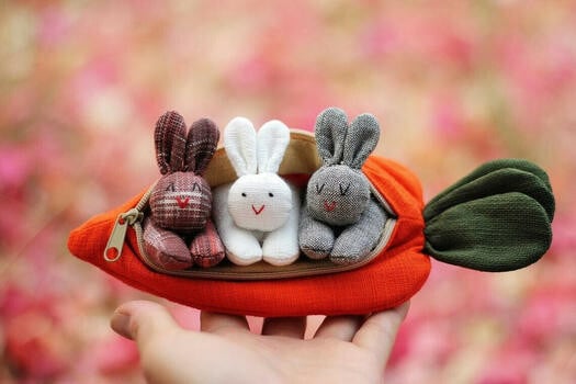 🔥Last Day Promotion 70% OFF🔥Hide-and-Seek Bunnies in Carrot Pouch