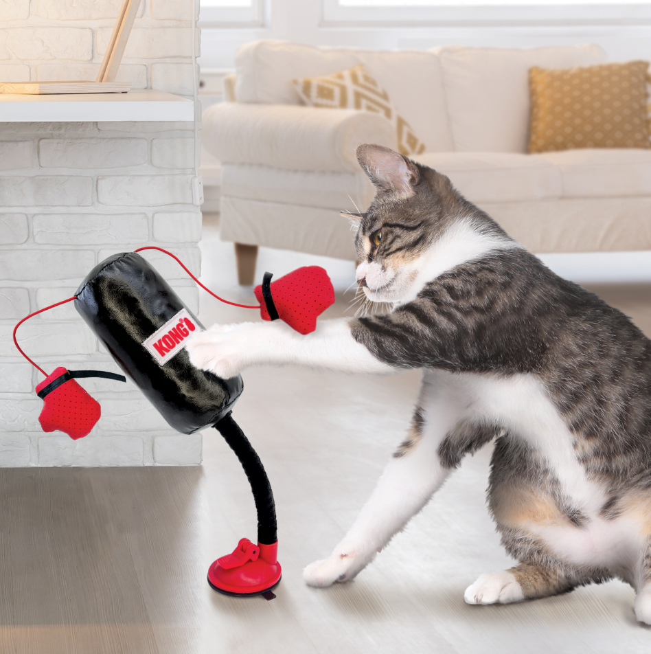 🔥Last Day Promotion 50% OFF🔥Cat multifunctional boxing toy