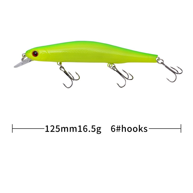 Minnow Fishing Lure