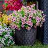 💖Spring Hot Sale 49% OFF- Artificial Flowers for Outdoors💐