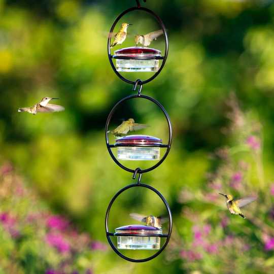 🎉Slim Hummingbird Feeder