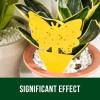 🎁TikTok Last Day Sale - 70% OFF🎉Yellow Insect Traps🦋 – Pest Control for Plants Without Chemicals
