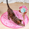 🔥Government subsidies - Enjoy 49% off 🔥2 in 1 Simulated Interactive hunting cat toy