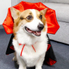 <strong>🎃Halloween Special 50% OFF</strong> 🦇Halloween Pet Cape Costumes Cosplay Vampire Cloak