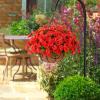 💖Last Day 49% OFF - UV Simulation Artificial Petunias
