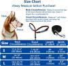 BARKLESS Dog Head Collar, Adjustable and Padded, No-Pull Training Tool for Dogs on Walks, Includes 1 Dog Leash and Free Training Guide