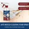 (🔥TikTok Summer SALE) -MILDEW CLEANER FOAM