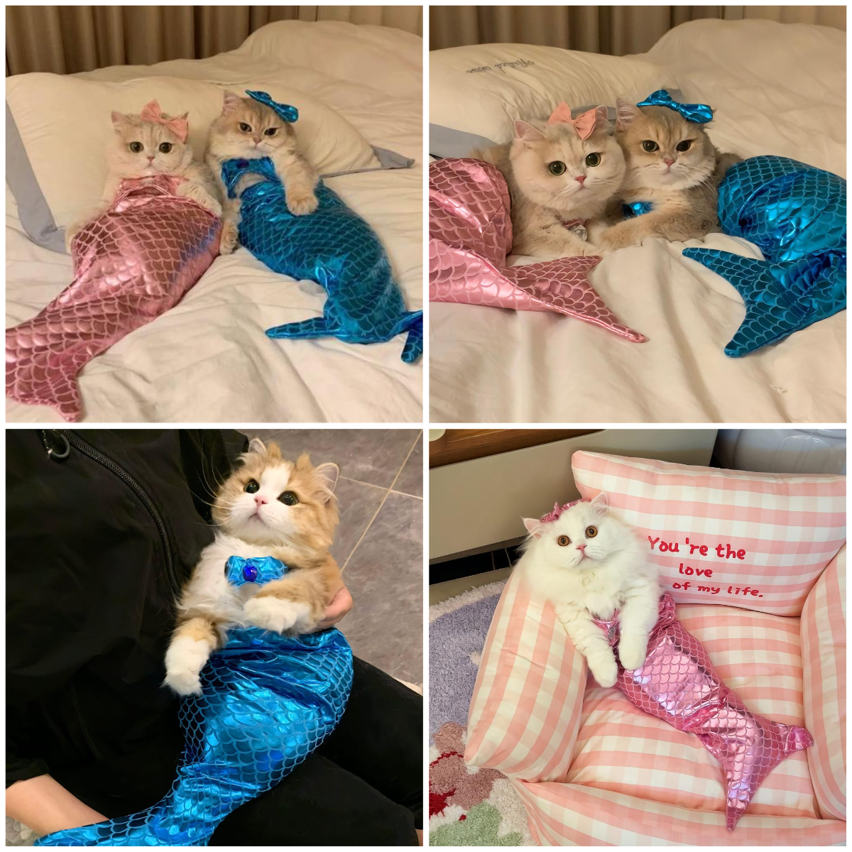 😺Hot Sale 50% OFF-🧜‍♀️Mermaid Bikini Pet Set，BUY 2 GET 1 FREE