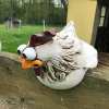 Funny Chicken Garden Fence Decoration - Buy 2 Free Shipping