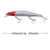 Minnow Fishing Lure