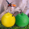 Hanging Environmental Friendly Fly Trap - Keep Your Home and Garden Fly-Free!