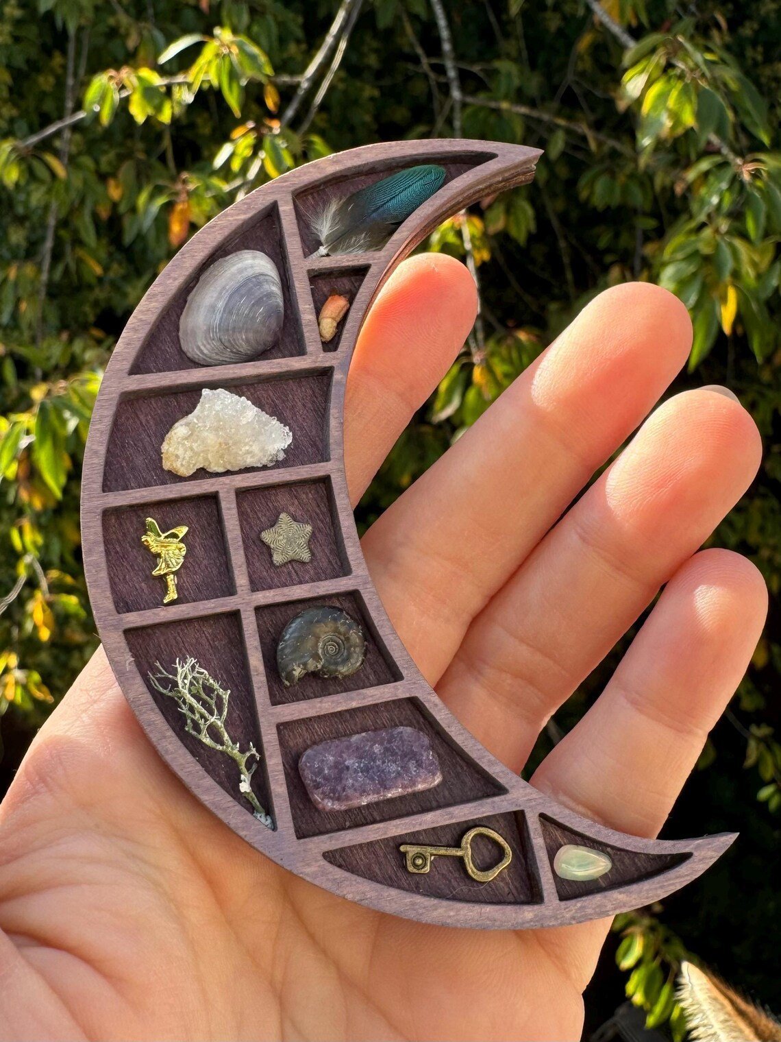 Mini Wooden Display Shelf for Collectibles