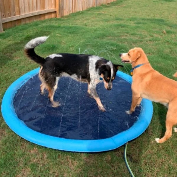 🐶Cool Canine: The Dog Sprinkler Mat for Hot Days