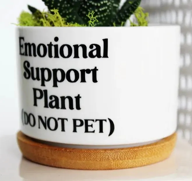 🔥New Year Promotion 50% Off-🌱Funny Plant Pot