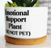 🔥New Year Promotion 50% Off-🌱Funny Plant Pot