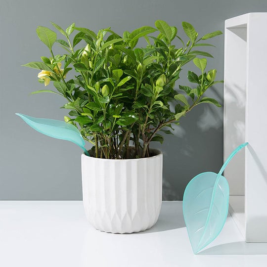 🔥(Last Day Promotion - 50% OFF) Watering Leaf For Plants