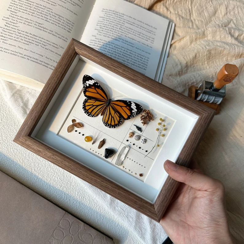 Diy Framed Butterfly Decoration Kit