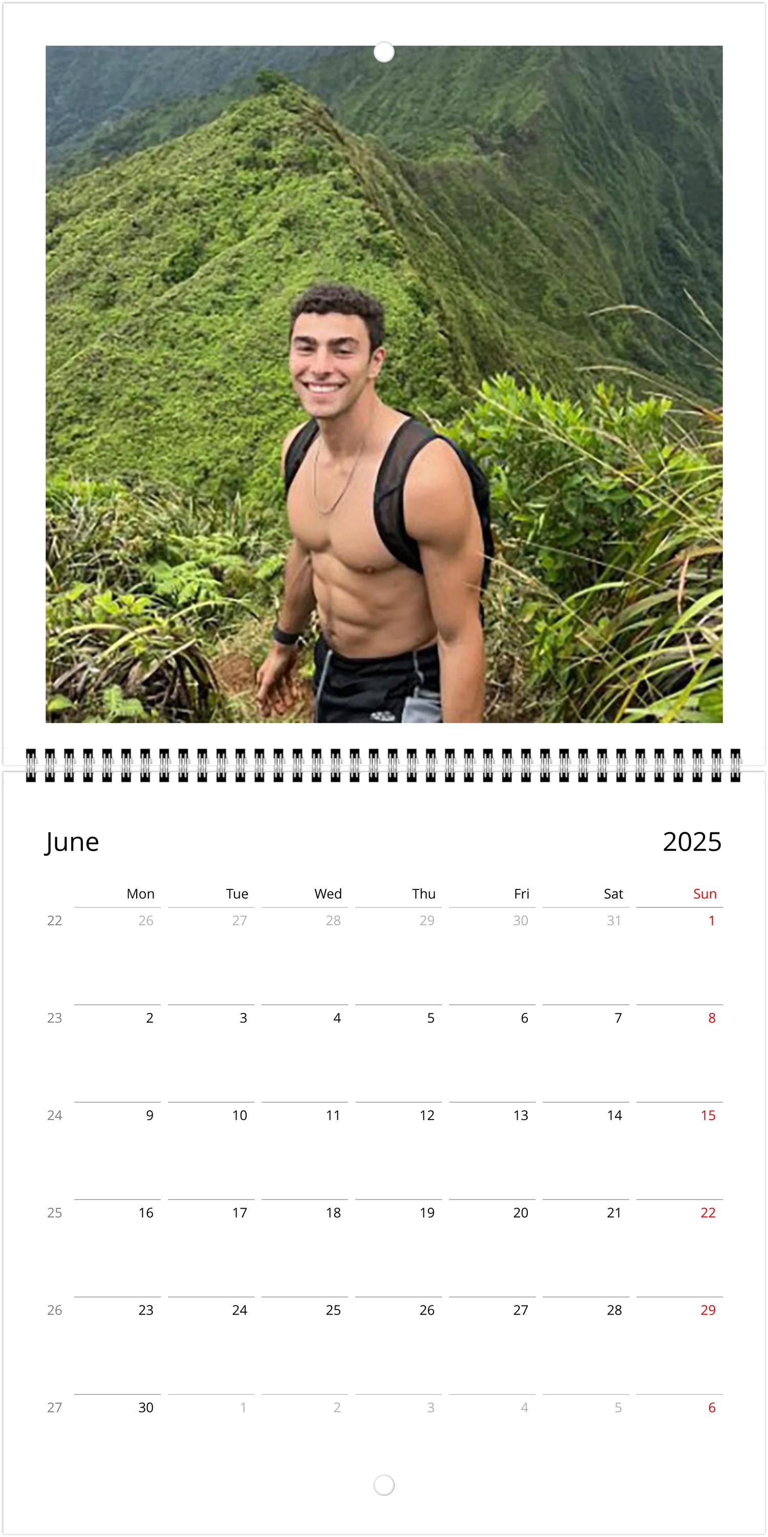 Luigi Mangione 2025 Calendar