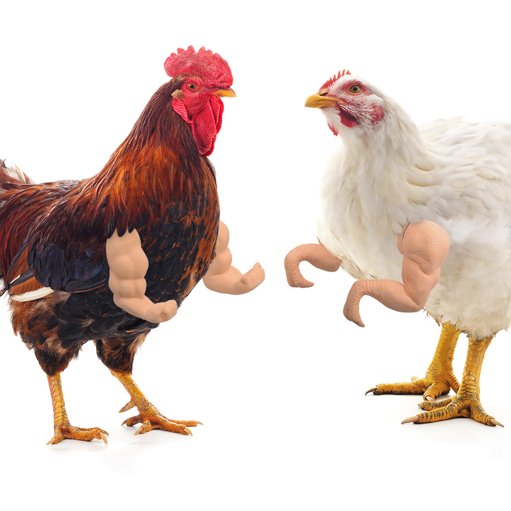 🔥Last Day Promotion - 60% OFF🎁🤣🐔💪Funny Chicken Arms