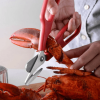 ULTIMATE SEAFOOD SHEARS ❤️BUY 2 FREE SHIPPING❤️