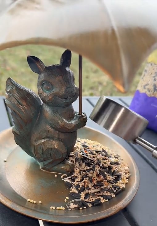 💗Mother's Day Gift - Squirrel Umbrella Tray bird feeder 🐿️🐿️
