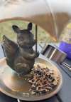💗Mother's Day Gift - Squirrel Umbrella Tray bird feeder 🐿️🐿️