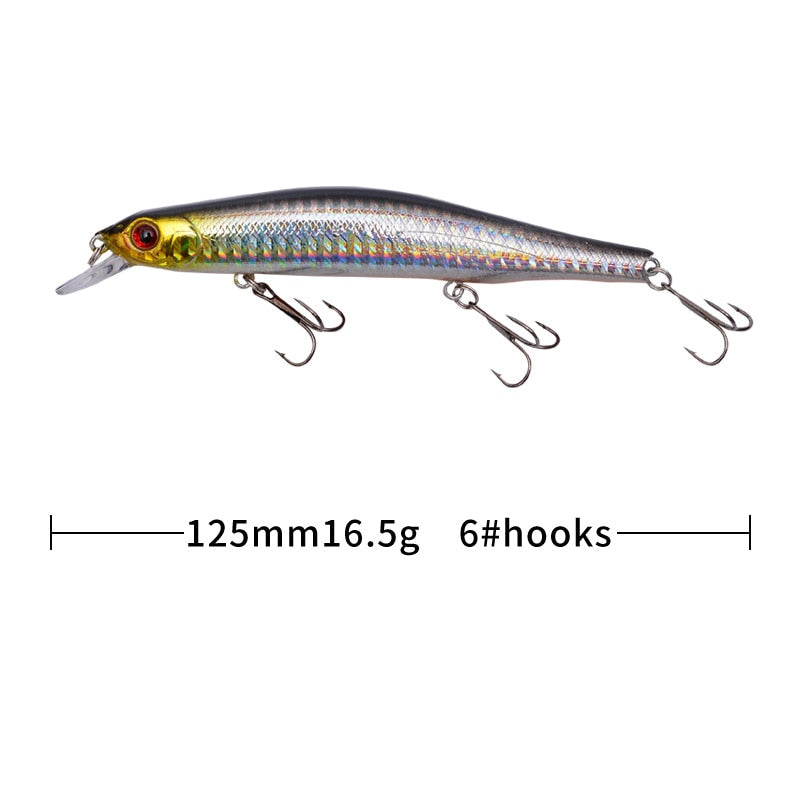 Minnow Fishing Lure