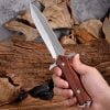 RX-50 Sacred Sword-High Hardness Straight Knife